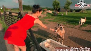 Pärchen hat Sex im Urlaub auf dem Land